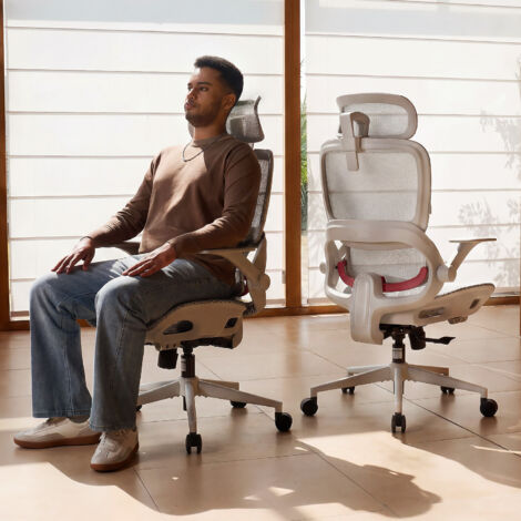 SIHOO B100 Pro Sedia da ufficio ergonomica in mesh, Sedia da computer regolabile con supporto lombare dinamico 4D, Poggiatesta extra largo 3D, Sedia da scrivania con braccioli ribaltabili 4D, Grigio