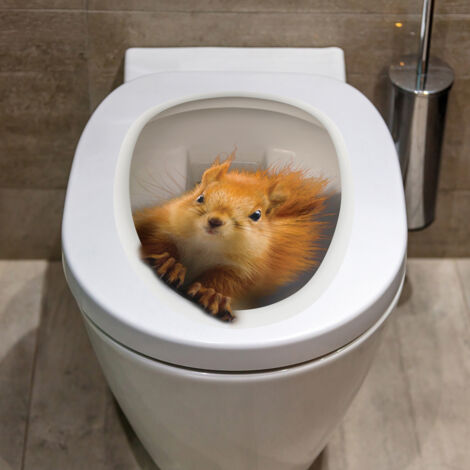 Sollbry Eichhörnchen-Aufkleber, Toilettendeckel-Aufkleber, abnehmbare, wasserdichte Toilettensitz-Aufkleber für Badezimmer, WC, Toilettendekoration
