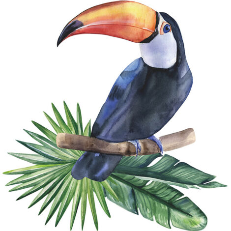 BEBUSINGOTO Pegatinas de pared de vinilo 3D realistas, hermosas y lindas, con forma de tucán, pájaros y animales, removibles, para decorar habitaciones infantiles y bebés.