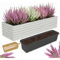 Jardinière Bois Bogateco 64x20x14 cm avec Bac Beige Clair