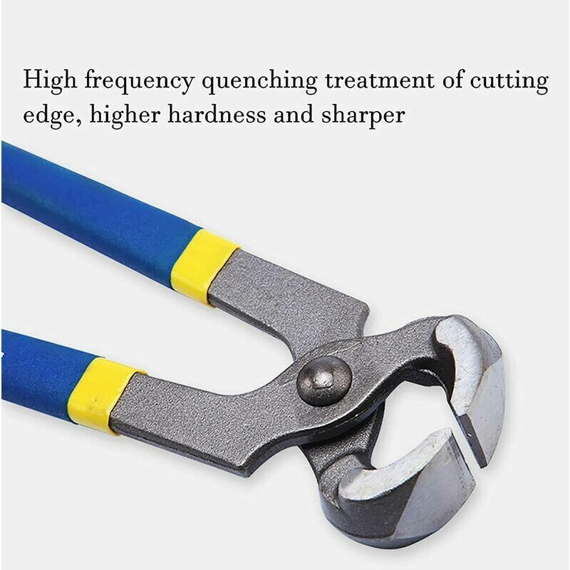 Râpe Radius Rasp modèle Pro - Outils de maréchalerie