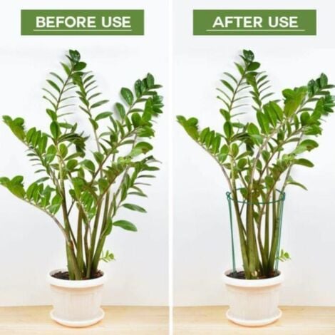 Lot De 20 Tuteurs Spirales Galvanisés Pour Plantes Grimpantes, Tomates, Concombres, Framboises