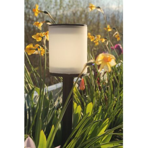 Tao 365 PREMIUM WATT & HOME 401291 (1/4)