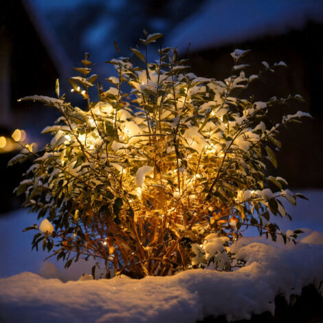 Esotec 102168 Guirlande lumineuse solaire pour l'extérieur solaire Nombre de lumière 60 LED blanc chaud Longueur éclairée: 6 m avec piquet de terr A130532