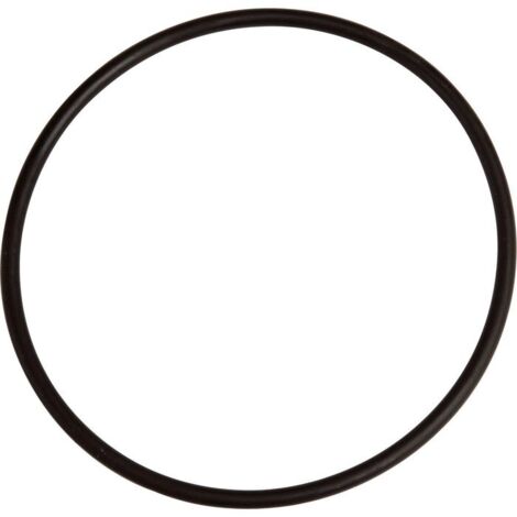 Apic – Joint torique pour filtre à eau double – Caoutchouc 10 cm diamètre – Épaisseur 1 cm – Performance optimale pour filtration (1/2)