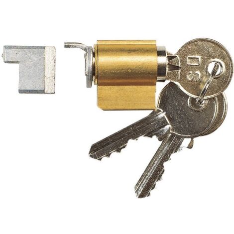 La Croisee Ds – Cylindre de serrure encastré 9432 – Longueur 30.1 mm – Pour profil de 27 à 31 mm – 2 clés plates en laiton nickelé – Cylindre spécial pour baie vitrée