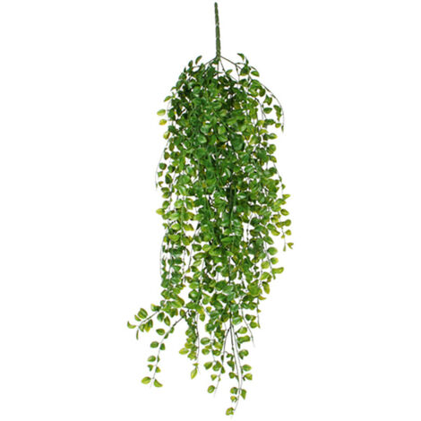 Maceta colgante de ficus verde, 81 cm (1/2)