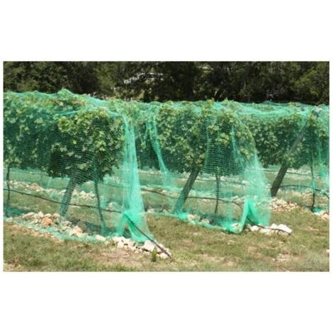 RED ANTI-PAJAROS PARA ARBOLES FRUTALES 4x5m