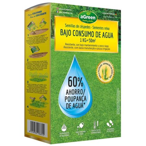 Semillas de césped de bajo consumo de agua para cubrir hasta 50m² (1kg)