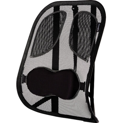 Fellowes 8029901 soporte lumbar para respaldos Grafito (1/4)
