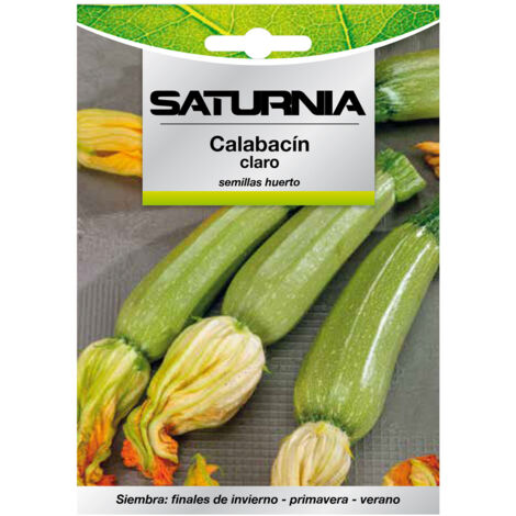 semillas calabacin verde oscuro (5 gramos) semillas verduras, horticultura, horticola, semillas huerto.