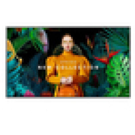 Samsung Digital Signage QBC Serie 43 QB43C (LH43QBCEBGCXEN)