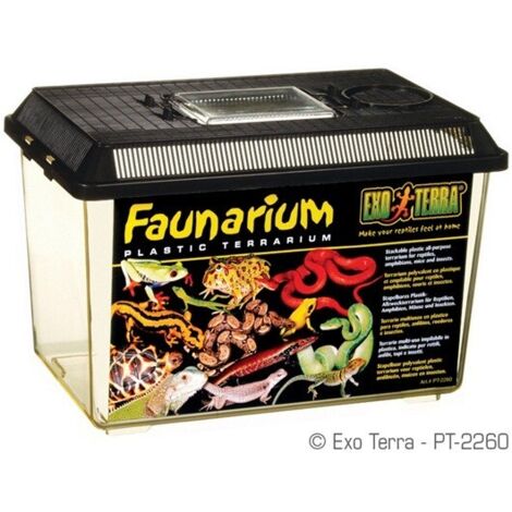 Terrario de plástico Exo Terra Faunarium