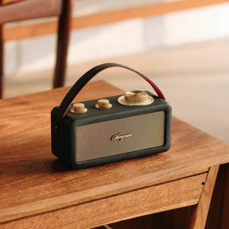 RA-101 Portátil Analógica Negro, Oro (1/2)