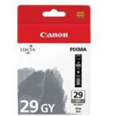 Canon PIXMA/PRO-1 Cartucho Gris PGI-29GY