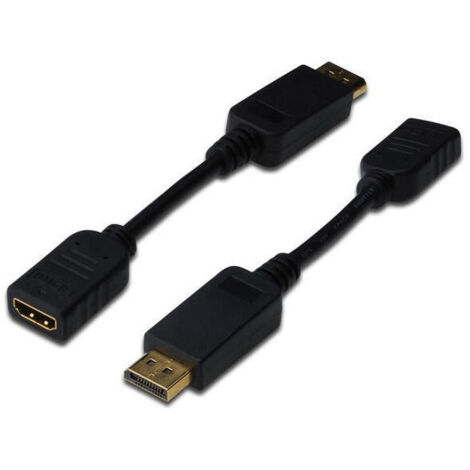 CABLE ADAPTADOR DISPLAYPORT (1/4)