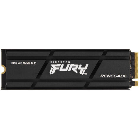 1000G RENEGADE PCIE 4.0 NVME SSD (1/4)