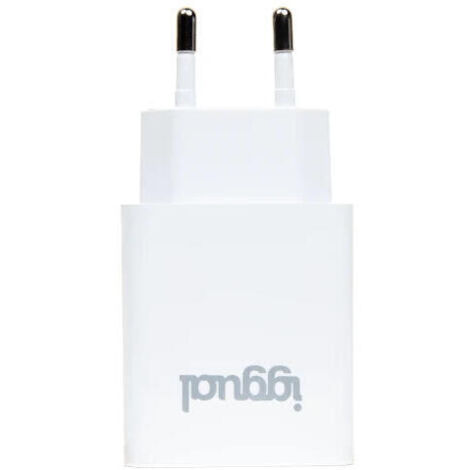 iggual Cargador de pared 1xUSB 5V/2.4A (12W) (1/4)