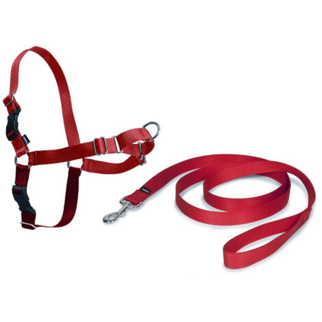 ARNES PERRO EASY WALK ROJO - Talla M (1/3)