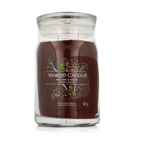 Vela Perfumada Yankee Candle Praline & Birch 567 g 5038581128832 S8310244 Yankee Candle