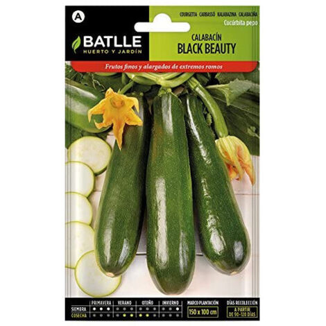 Semillas de Calabacín Black Beauty Cultivers Batlle