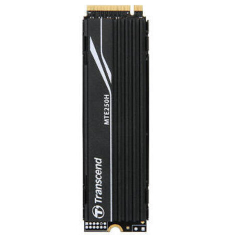 MTE250H M.2 1 TB PCI Express 4.0 NVMe 3D NAND (1/3)