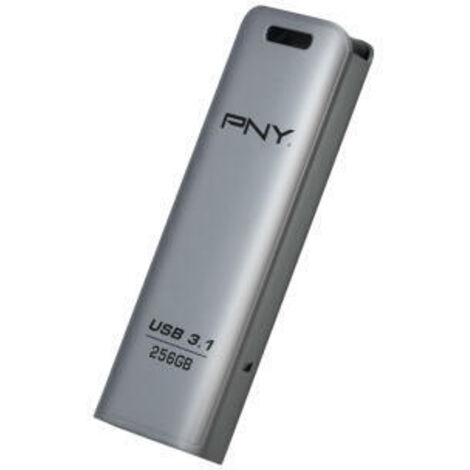 FD256ESTEEL31G-EF unidad flash USB 256 GB 3.2 Gen 1 (3.1 Gen 1) Acero inoxidable (1/4)