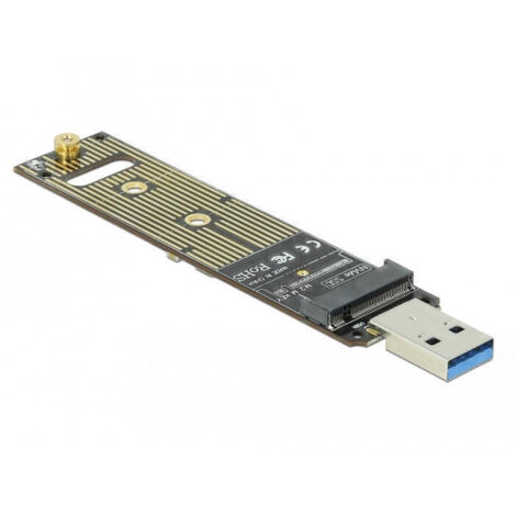Delock Convertidor para M.2 NVMe PCIe SSD con USB (1/4)