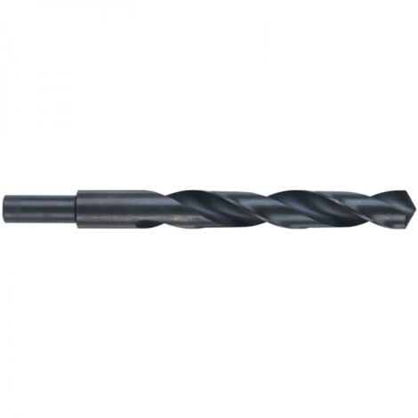 Forets métaux HSS-R MILWAUKEE - 49323733 (1/3)