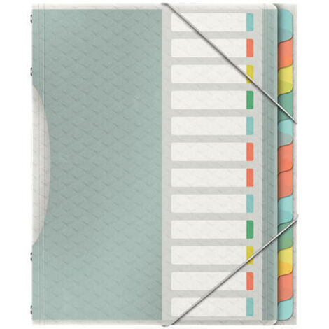 Esselte clasificador colour?ice 12 separadores 266x320x20 mm polipropileno (1/3)