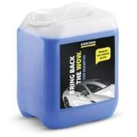 Karcher - detergente para coche 5 l - rm619 - 62953600 - 4039784359697