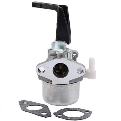 696065 Carburatore per Briggs & Stratton 696065 697422 110402-0206-E1 (1/4)