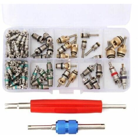 Kit di rimozione del nucleo della valvola per climatizzatore auto R12/R134A (100 pezzi). (1/4)