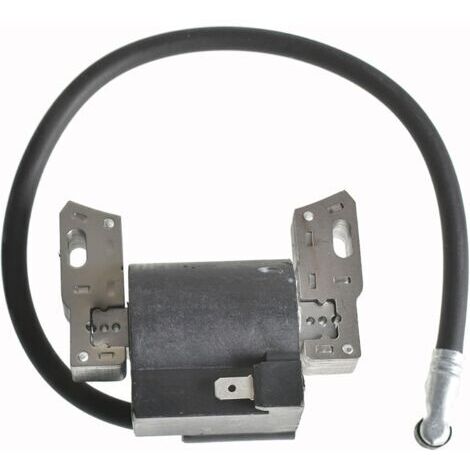 Bobina di accensione per Briggs & Stratton 591420 398593 496914 793281 793295 09I602 Bobina di accensione per tosaerba