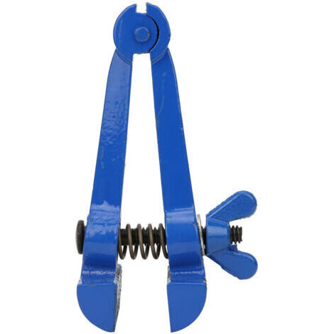 Mini morsa manuale multiuso in acciaio verniciato blu, morsetto piccolo, accessori per utensili (50 mm) (1/5)