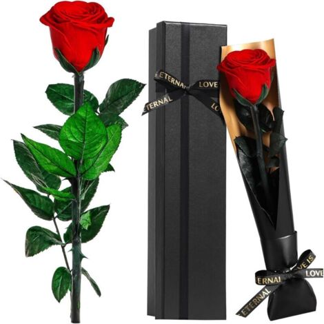 Konservierte Ewige Rose, rote Blume – Weihnachtsgeschenk für Frauen, Geburtstags-/Weihnachtsgeschenkidee für sie, Mutter, Freundin, Ehefrau, Schwester, Oma, Liebesgeschenk zum Muttertag, Valentinstag (1/5)