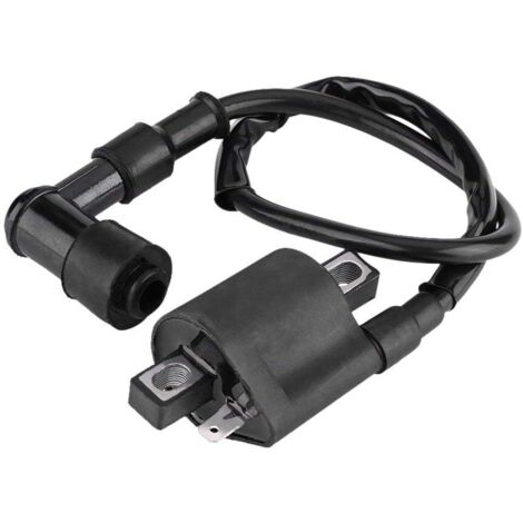 Bobina di accensione per moto, bobina di accensione di ricambio per ATV, moto da cross, scooter, go-kart, ciclomotori 150cc, 200cc, 250cc (1/5)