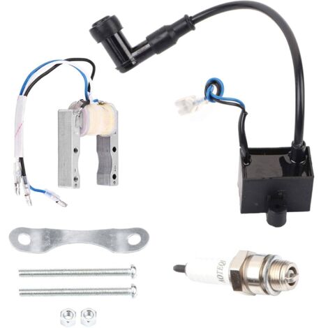 Bobina de encendido magneto CDI, conjunto de bobina de encendido magneto para motor de motocicleta/moto mini 50/80cc, conjunto de bujía CDI de alto voltaje, adecuado para bujía de motocicleta (1/5)