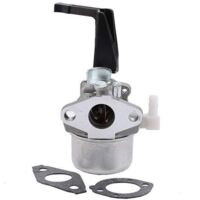 OxoxO Carburateur pour Briggs & Stratton 696065 697422 remplace 796707 794304 avec Joint