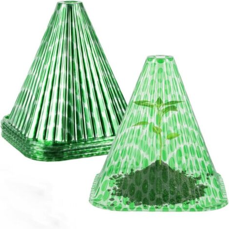 Coni forzanti in confezione da 10, protezione contro lumache, gelo, crescita, PVC trasparente, 22x19,5x19,5 cm, verde (1/4)