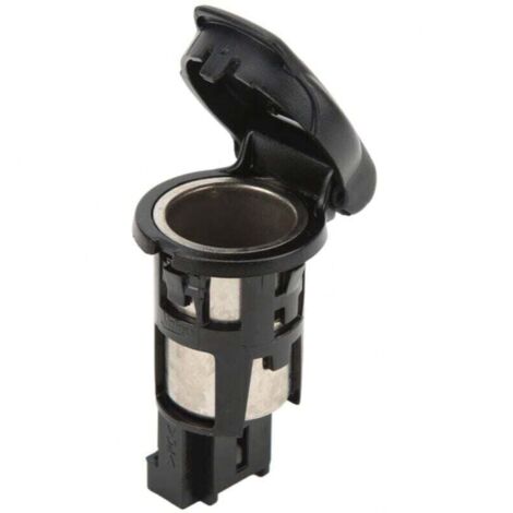 Accendisigari per auto per Meg, presa di corrente per auto 253312923R ad alta efficienza 12V 120W sostituzione accendisigari per auto