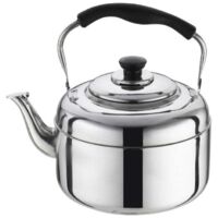 Hervidor de gas de 2 l, tetera de acero inoxidable para cocina, tetera de gas con mango resistente al calor, tetera de acero inoxidable