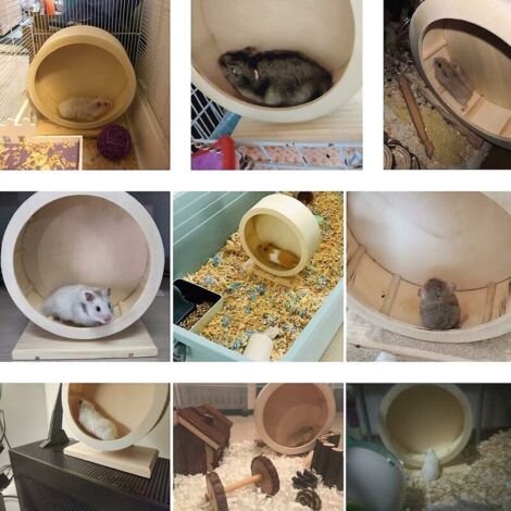 Sustrato Viruta De Madera De Álamo Para Conejo, Hamster 1.6k Sustrato Viruta De Madera De Álamo Para Conejo, Hamster 1.6k