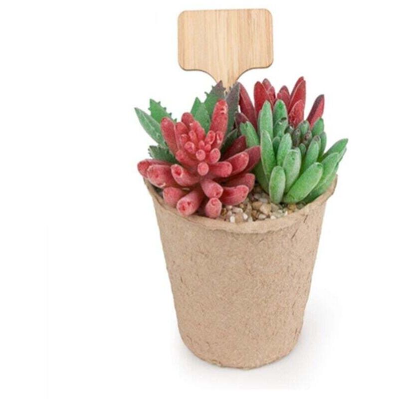 20 etichette in legno per piante, etichette per giardino esterno