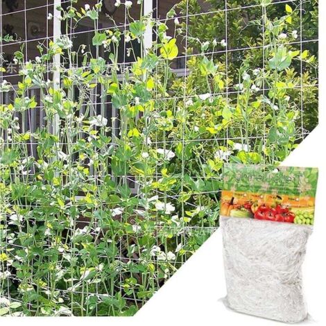 10pezzi Cestini Per Piante Idroponiche Plastica Vasi Rete