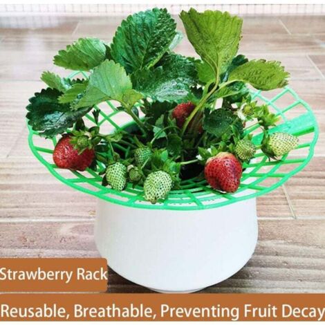 20 Pezzi Supporto Per Telaio Fragole Balcone Piantagione Frutta Pianta Fiore Rampicante Pilastro Da Giardinaggio 88026116