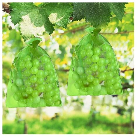 100 Pezzi Sacco di Protezione per Uva, Sacco di Protezione per Frutta e