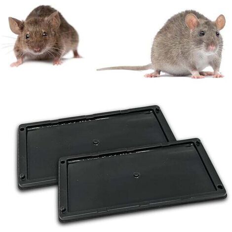Trampa para ratones, trampa para ratas, trampa de pegamento, placas adhesivas antirroedores, mata ratas, alternativa al mata ratones, antiratas [Pegamento extra fuerte] (2 placas adhesivas