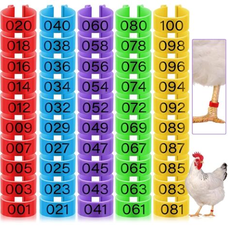 100 anillas para patas de pollo, 16 mm, 5 colores numerados, aptas para aves de corral (patos, pollitos, palomas, gansos, etc.)