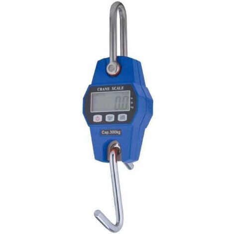 Industrieller Hakendynamometer mit LCD-Anzeige, 300 kg Tragkraft, blau (1/3)